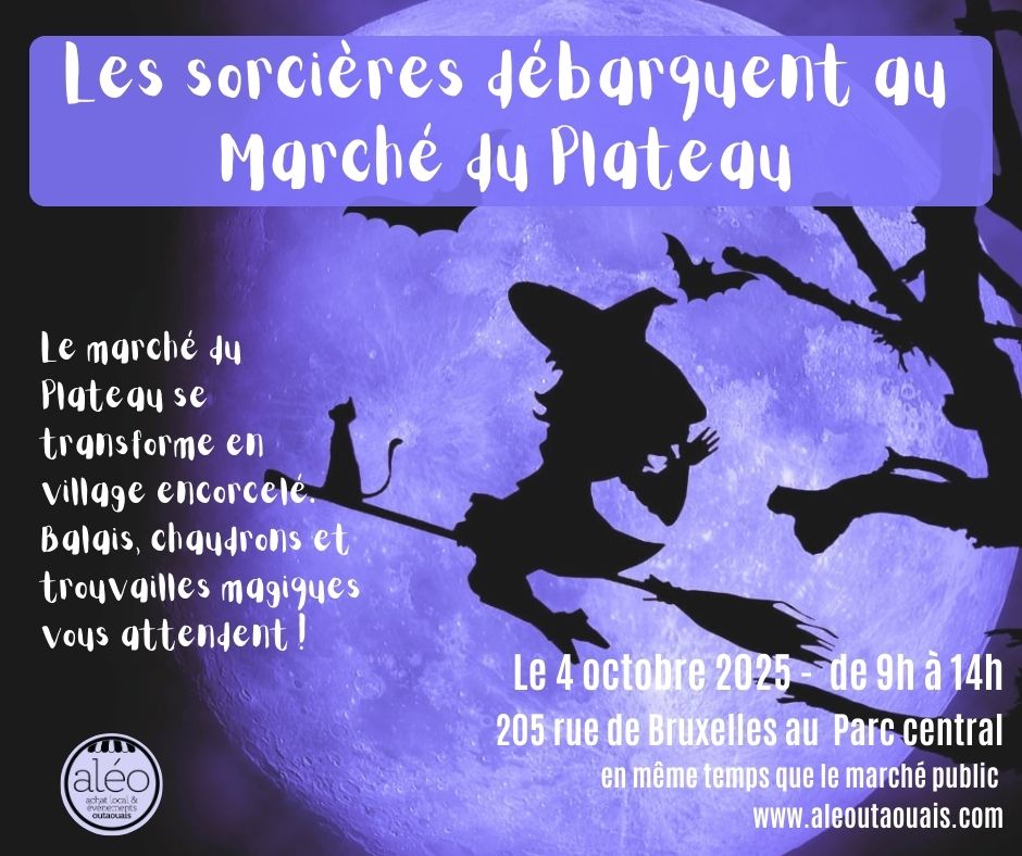 sorcieres_publication.jpg